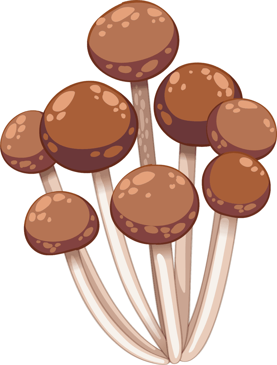 isolated gardening and outdoor objects with cartoon-style brown mushrooms for home decor