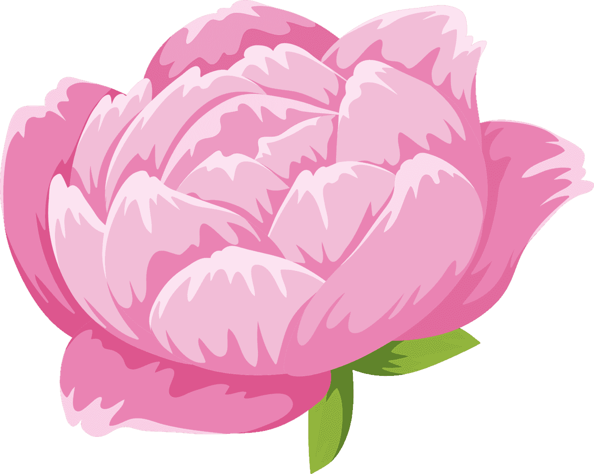 isolated gardening and outdoor objects featuring a beautiful pink peony flower for nature lovers