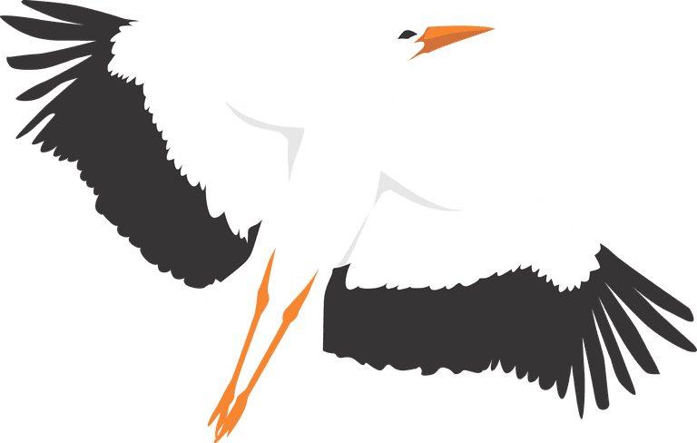 isolated white stork in different poses