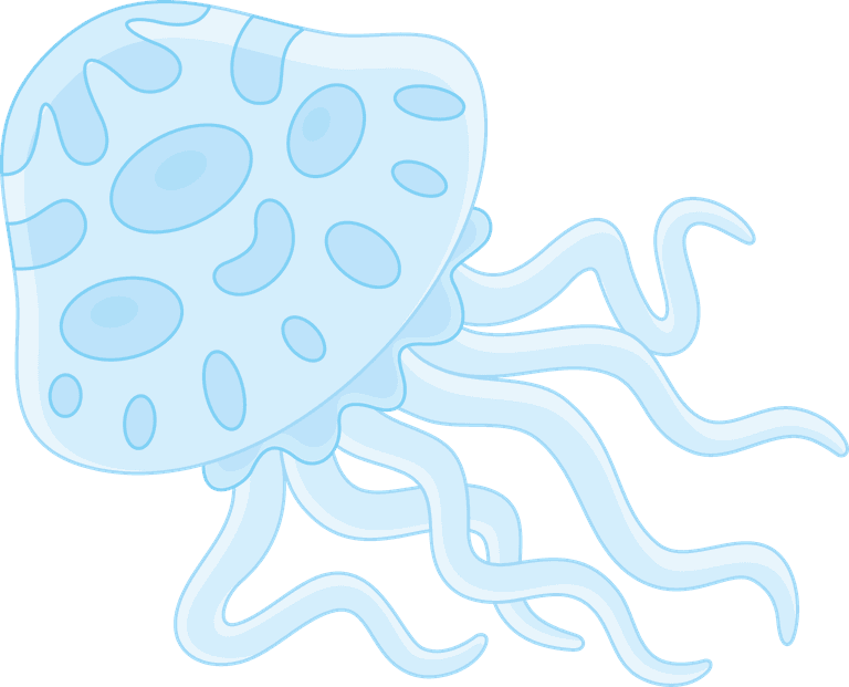 jellyfish animal english alphabet cartoon vector