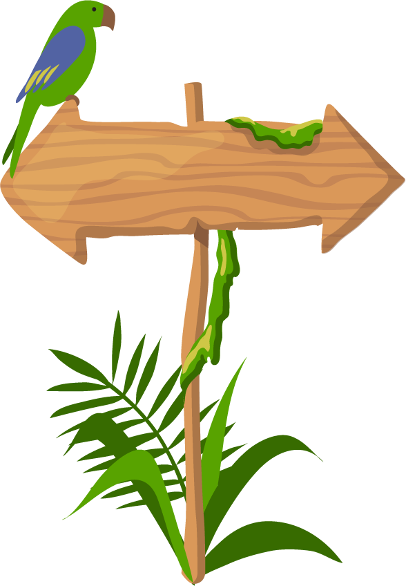 jungle wooden boards direction arrow with tropical elements and vibrant colors