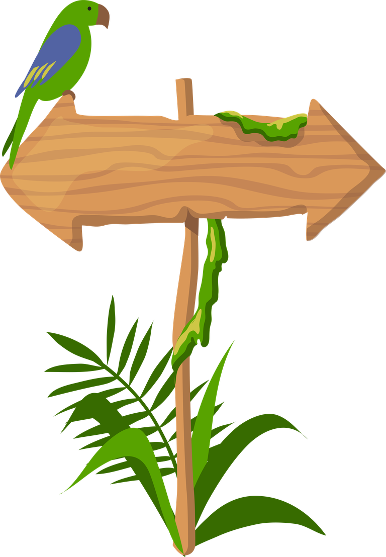 jungle wooden boards direction arrow with birds and tropical foliage for signage