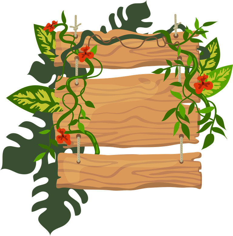 jungle wooden boards with leaves and vines