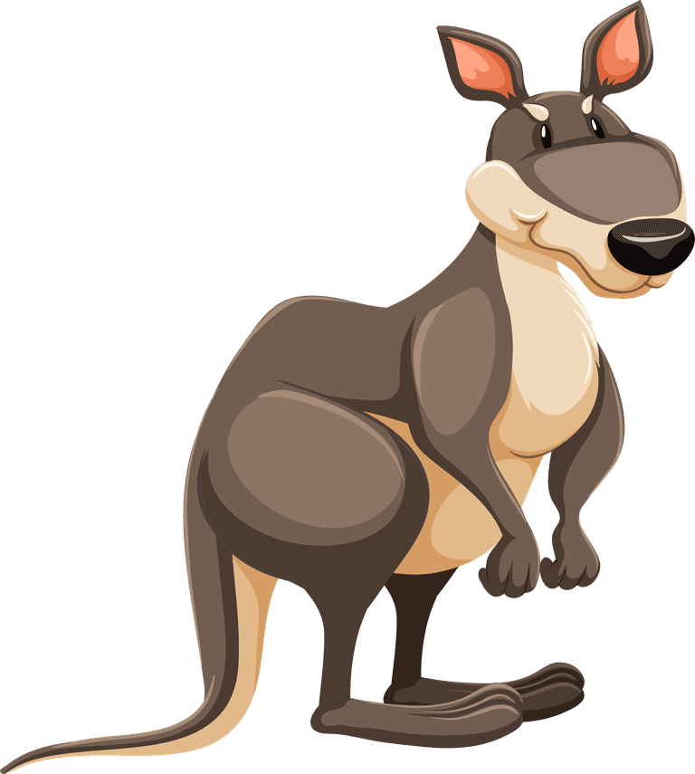 kangaroo different types of wild animals in australia illustration