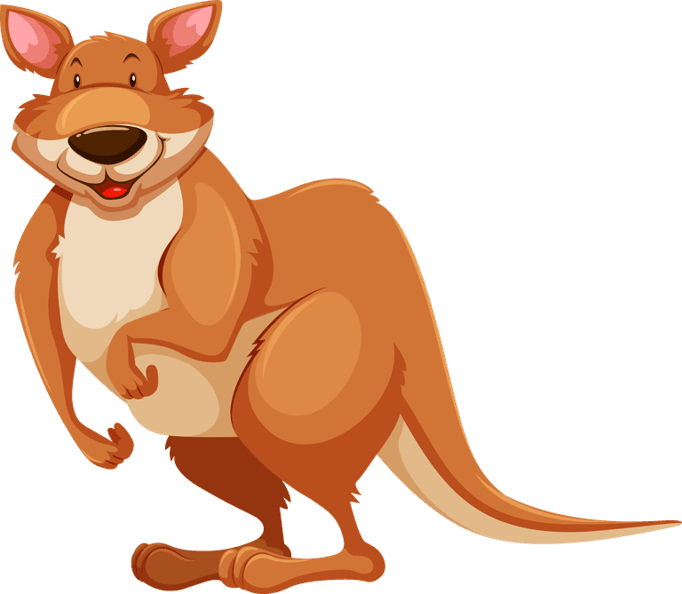 kangaroo australian wild animals illustration