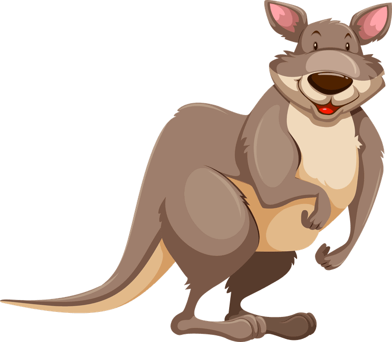 kangaroo australian wild animals illustration