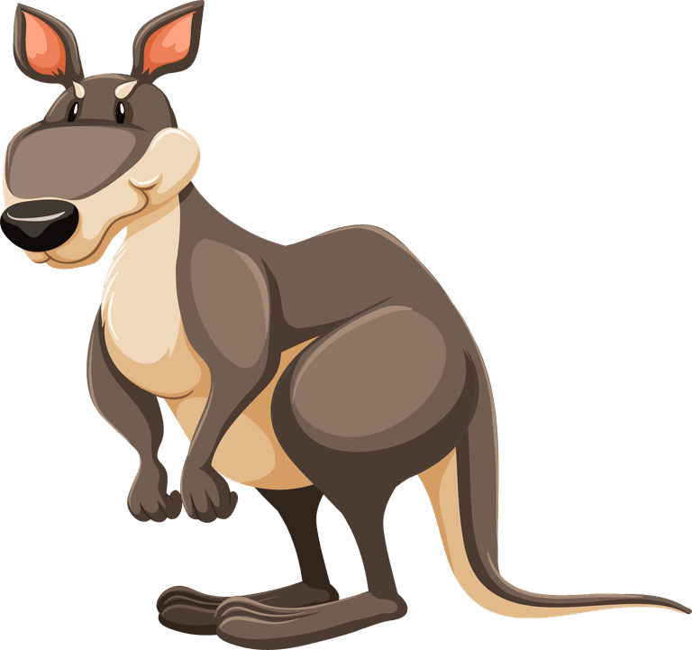 kangaroo different wild animals cartoon characters