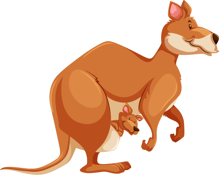 kangaroos set wild animals in playful poses for children's educational materials