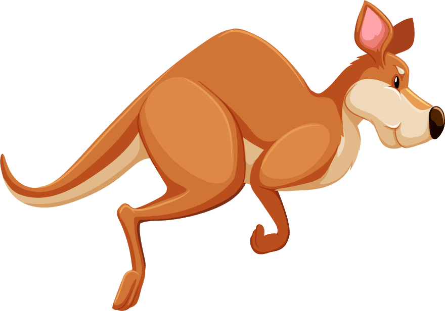 kangaroos set wild animals for playful nature themes and adventures