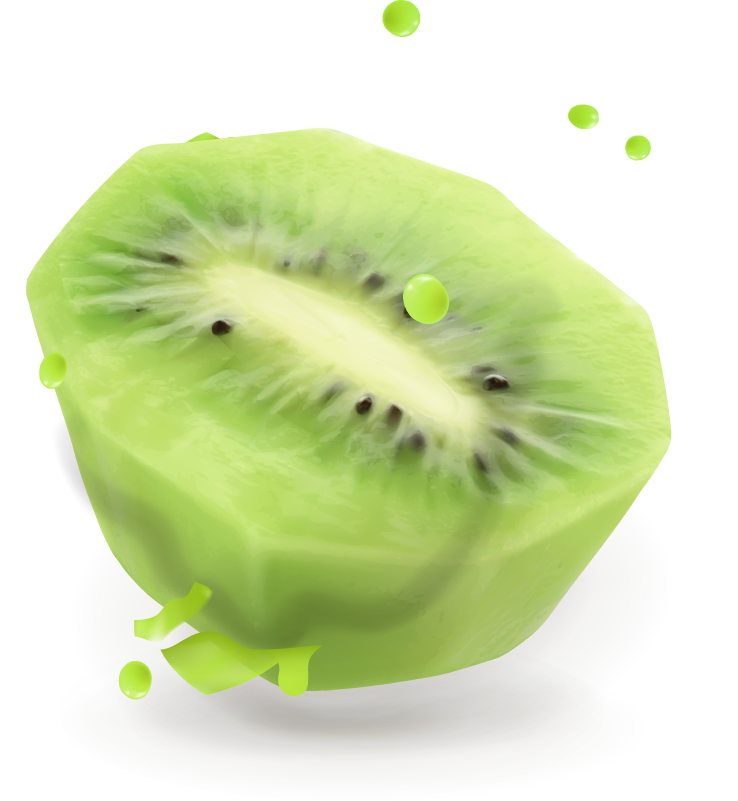 Kiwi fruit juice and splash vector