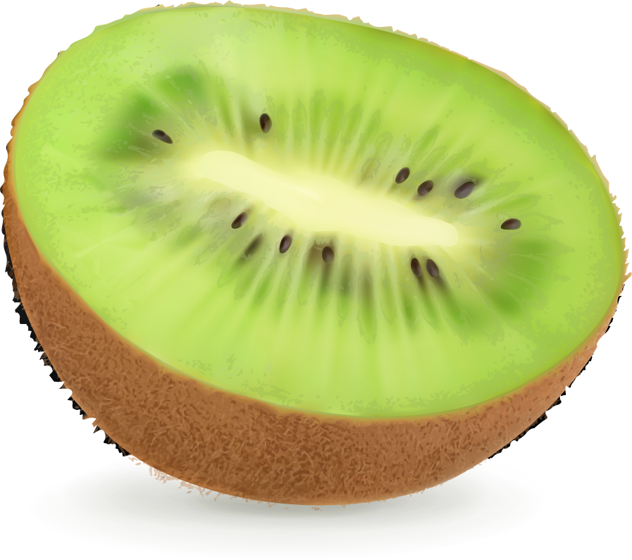 Kiwi fruit juice and splash vector