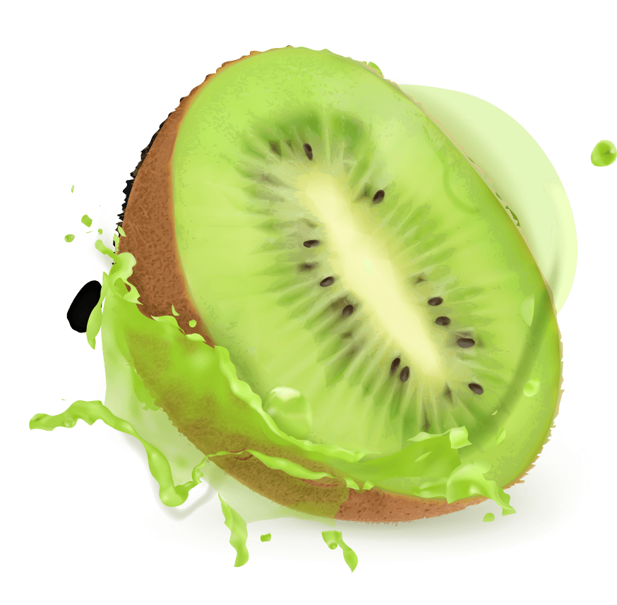 Kiwi fruit juice and splash vector