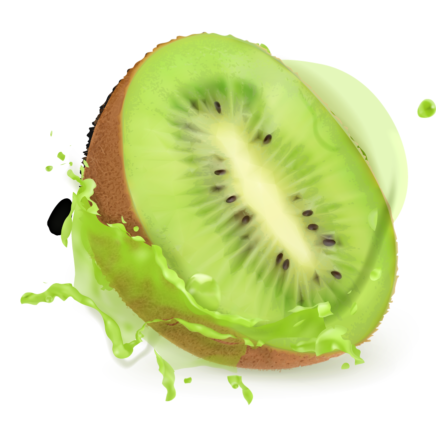 Kiwi fruit juice and splash vector