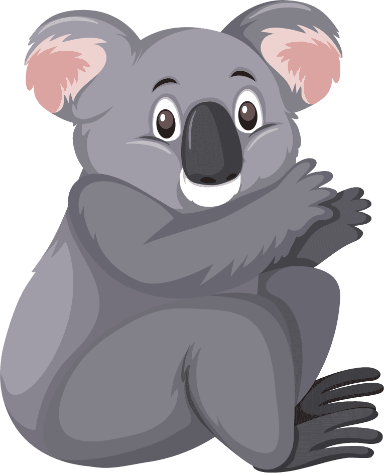 koala isolated different animals