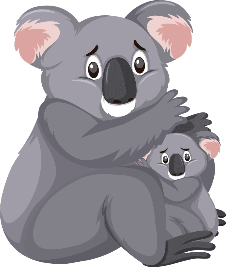 koala isolated different animals