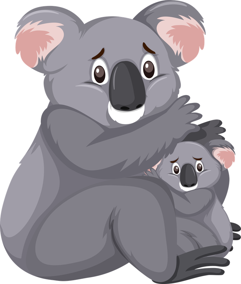koala isolated different animals in a cute and playful art style for children
