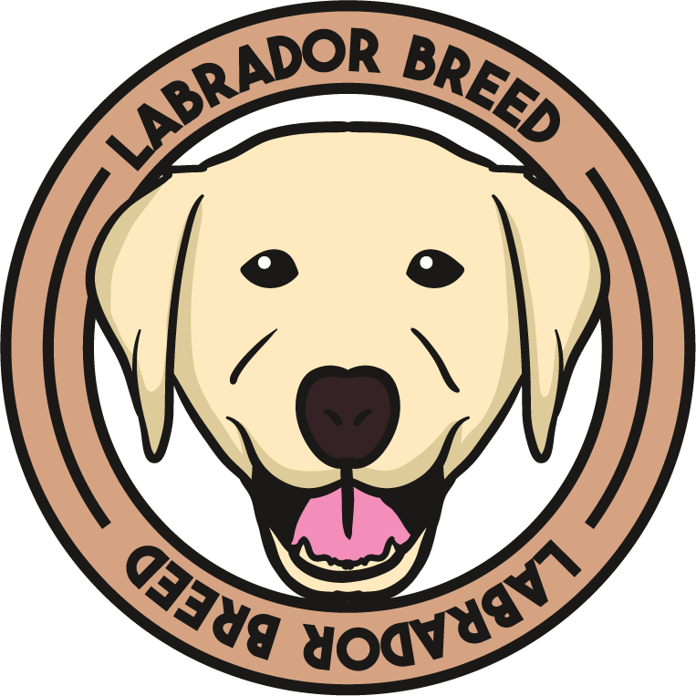 labrador dog cute draw beautiful illustration perfect for pet lovers and home decor