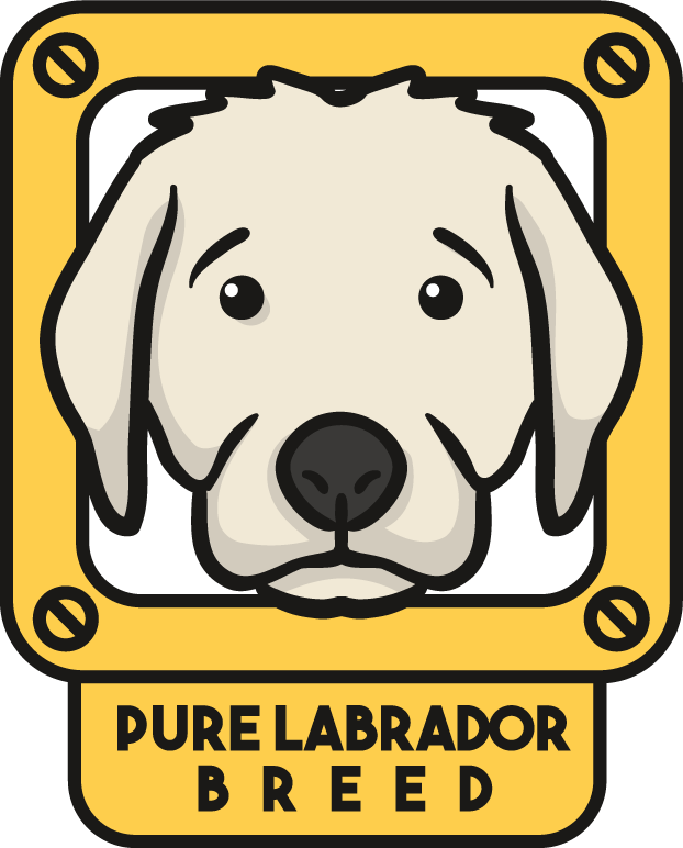 labrador dog cute draw beautiful cartoon style with playful expression