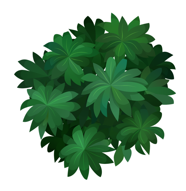 landscape elements top view of lush green foliage for nature-themed projects