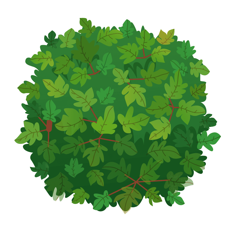 landscape elements top view of lush green foliage for nature-inspired projects