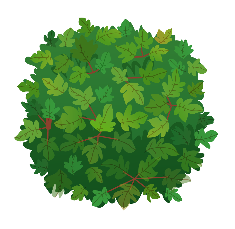 landscape elements top view of lush green foliage for nature-inspired projects