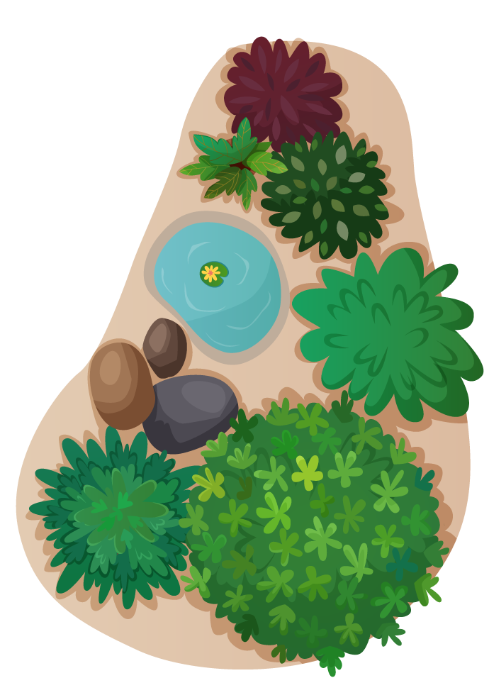 landscape elements top view with plants, stones, and water features for outdoor scenes