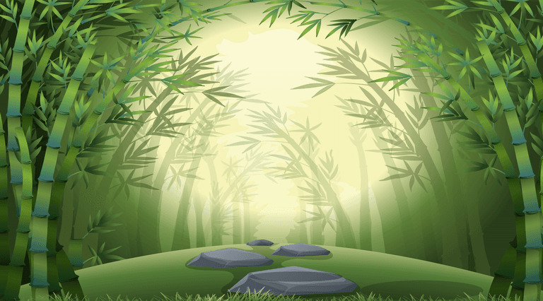 landscape forest nature scenes illustrations set