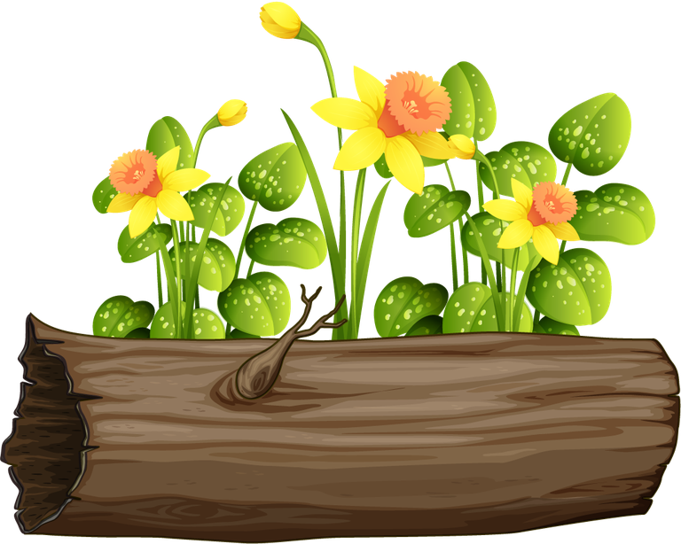 large colorful flowers rocks wood arrangement ideal for nature-themed decor projects