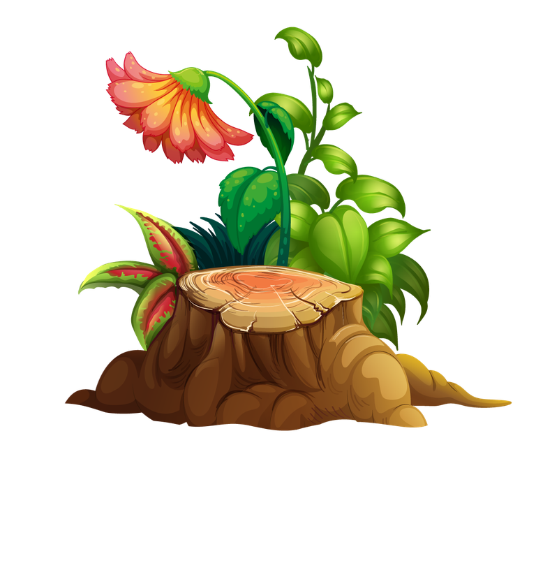 large colorful flowers rocks wood with vibrant flora and rustic charm for nature lovers