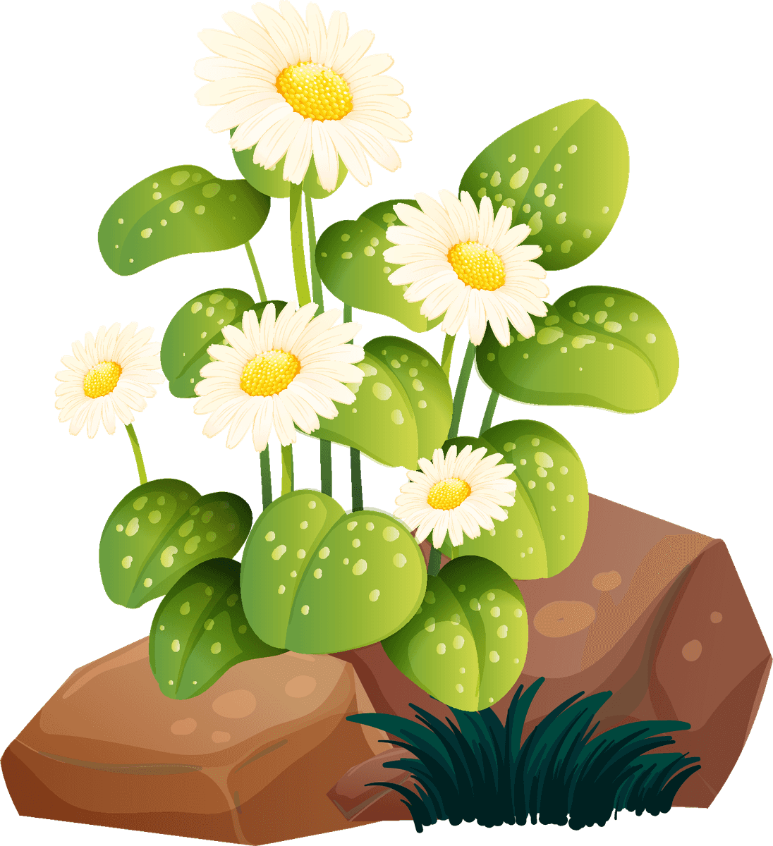 large colorful flowers rocks wood for vibrant nature-themed illustrations and decor