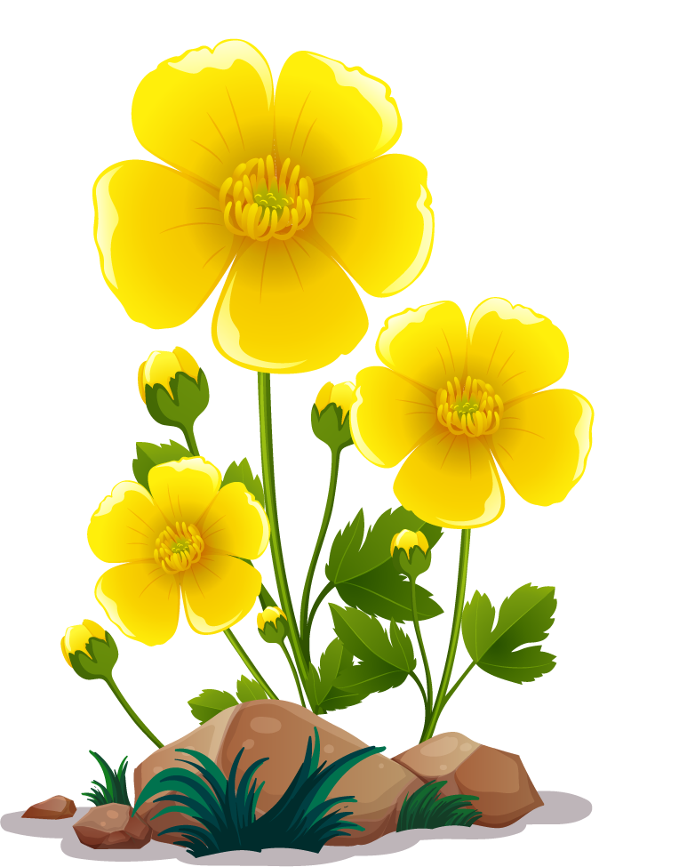 large colorful flowers rocks wood arrangement for garden decoration