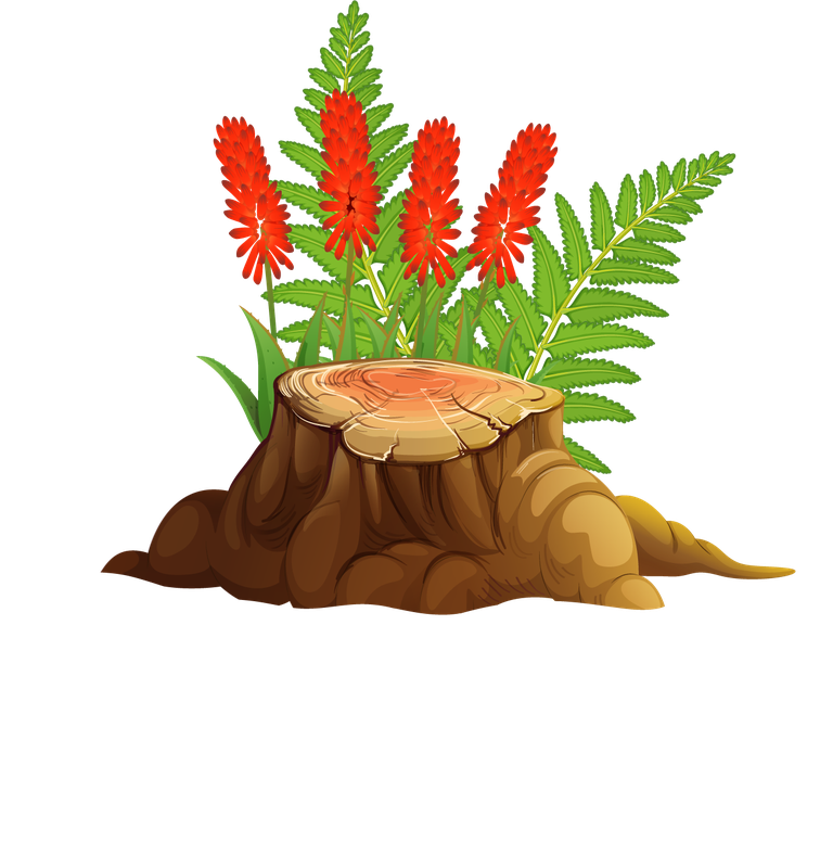 large colorful flowers rocks wood enhancing natural landscapes for vibrant decoration