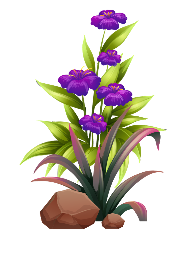 large colorful flowers rocks wood for vibrant garden decoration and landscaping