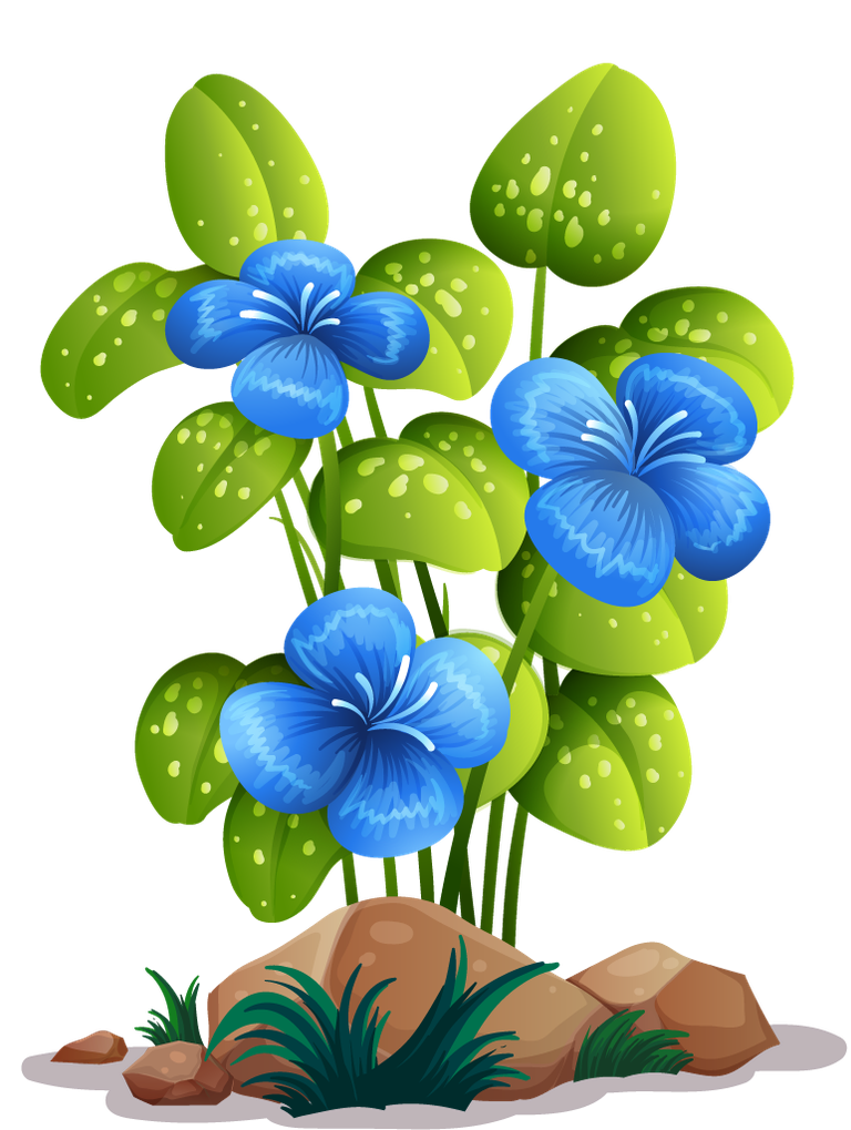 large colorful flowers rocks wood for vibrant nature-themed decorations and designs