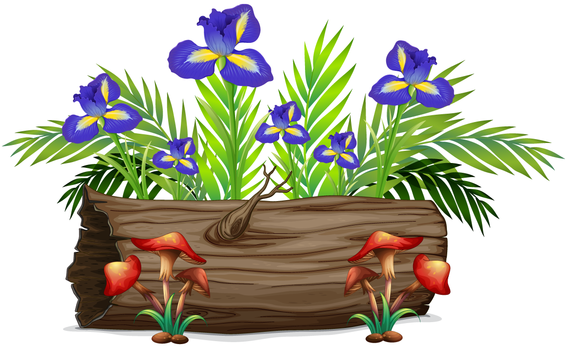 large colorful flowers rocks wood arrangement for vibrant garden decor and nature themes