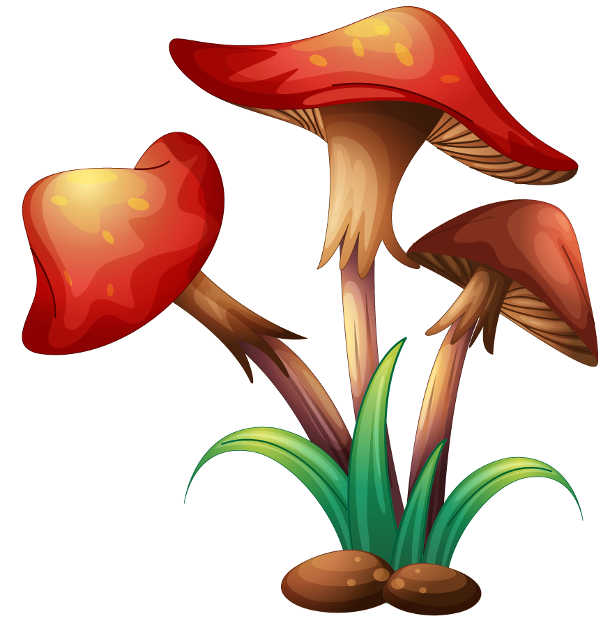large colorful flowers rocks wood in vibrant forest setting with whimsical touch
