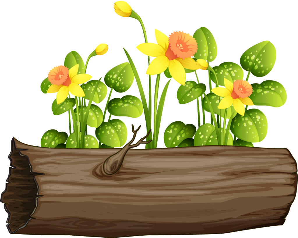 large colorful flowers rocks wood arrangement in a charming natural setting