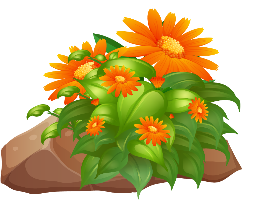 large colorful flowers rocks wood arrangement for vibrant outdoor decoration and landscaping