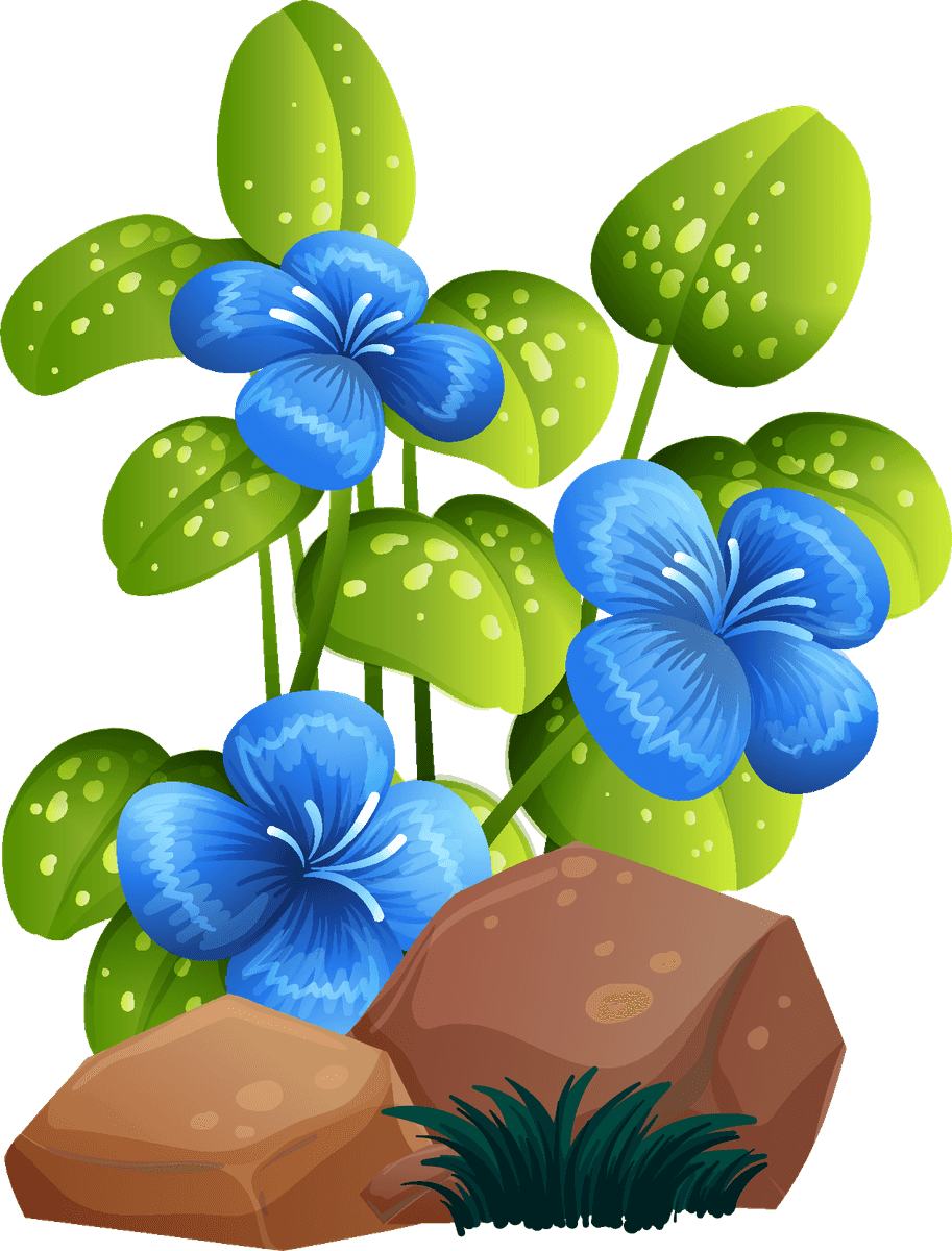 large colorful flowers rocks wood in vibrant nature scene for creative projects