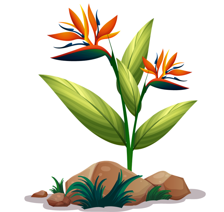 large colorful flowers rocks wood for vibrant garden decoration or nature-themed art
