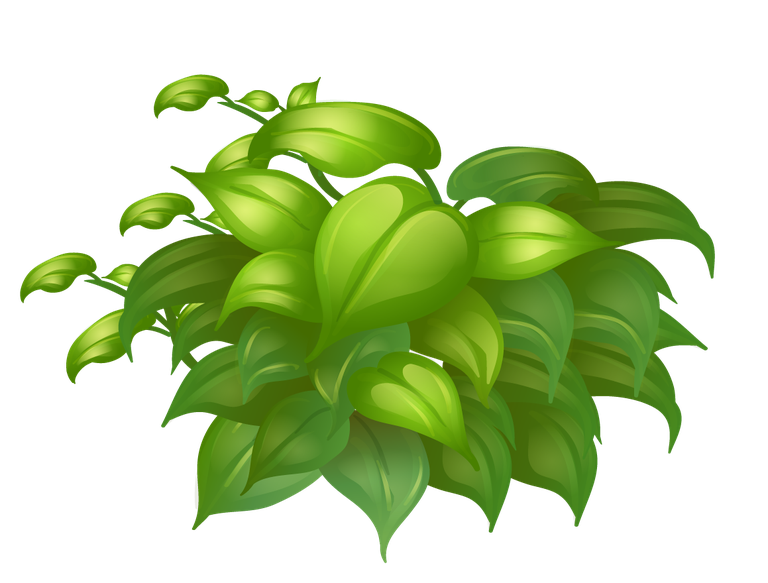large colorful flowers rocks wood with vibrant green leaves for nature-themed projects