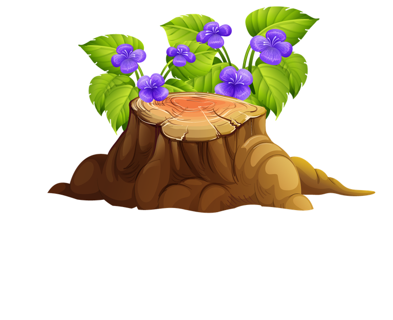 large colorful flowers rocks wood art with vibrant foliage for nature-themed projects