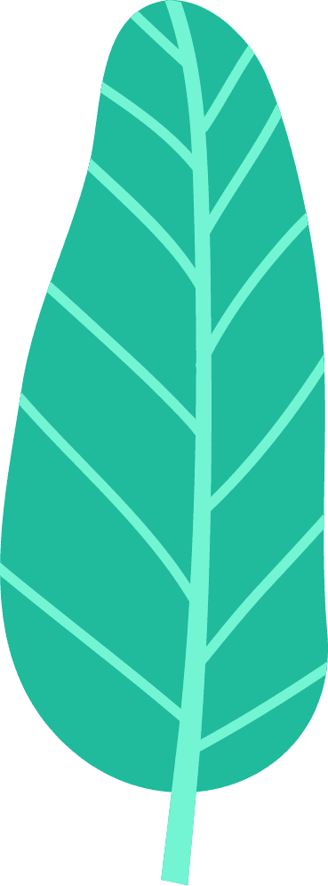 simple leaf illustration with difference color