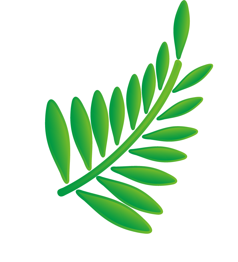 natural leaf and ecology leaf with green gradient