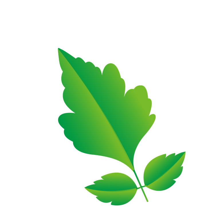 natural leaf and ecology leaf with green gradient