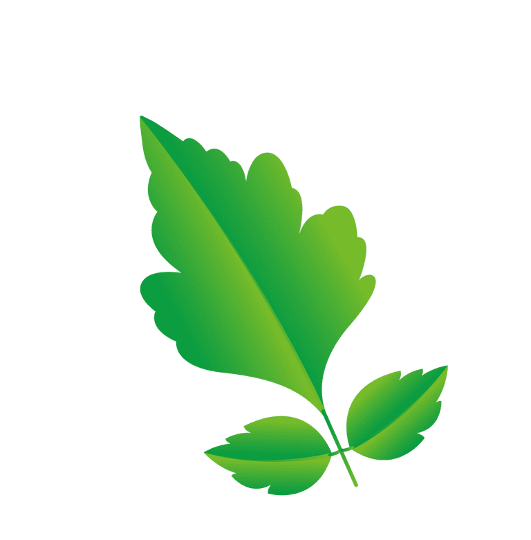 natural leaf and ecology leaf with green gradient