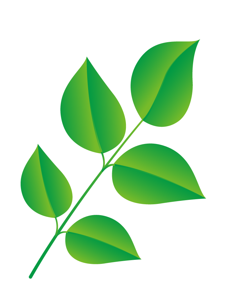 natural leaf and ecology leaf with green gradient