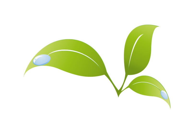 leaf green tree and leaf illustration for nature themes and eco-friendly projects