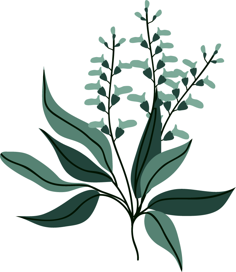 leaf icons collection classic dark green 