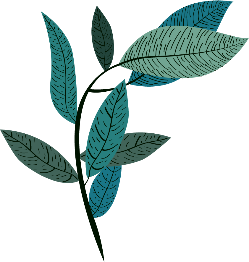 leaf icons collection classic dark green 